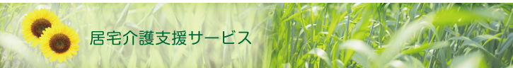 居宅介護支援サービス